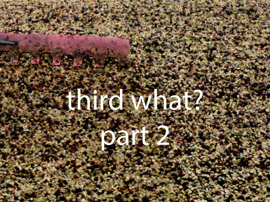Third What? part two