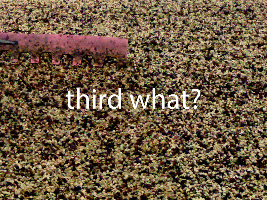 Third What? part one